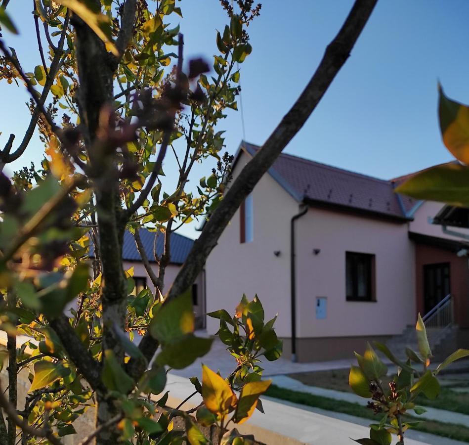 Agroturizam Opg Jakopovic Caglin Exterior foto